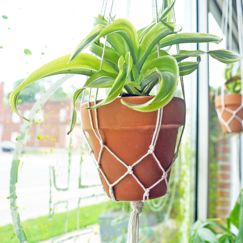 macrame plant hanger workshop Saturday, August 29, 2020: Plant Hangers Workshop @ Studio 614